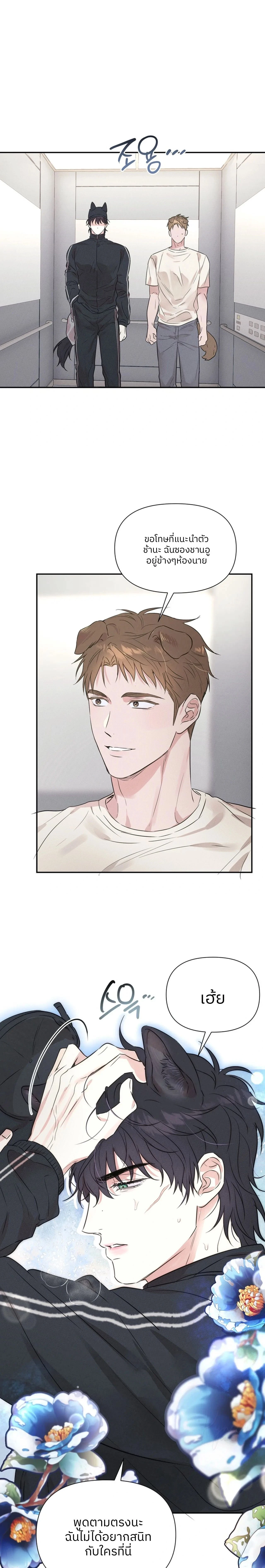 Turning Over A New Paw – พลิกขั้วหัวใจนายหมาป่า ตอนที่ 1 — page 15 of 17