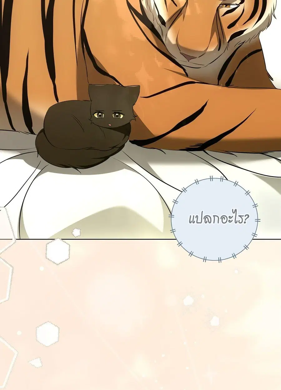 Cat Therapy – ปะปี๊เสพติดเหมียว! ตอนที่ 12 — page 73 of 84