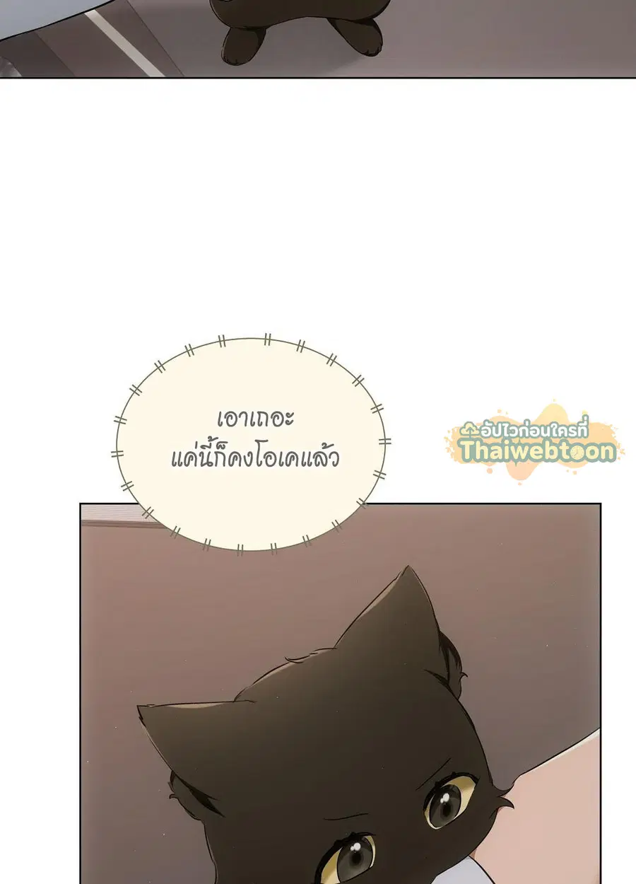 Cat Therapy – ปะปี๊เสพติดเหมียว! ตอนที่ 10 — page 43 of 88