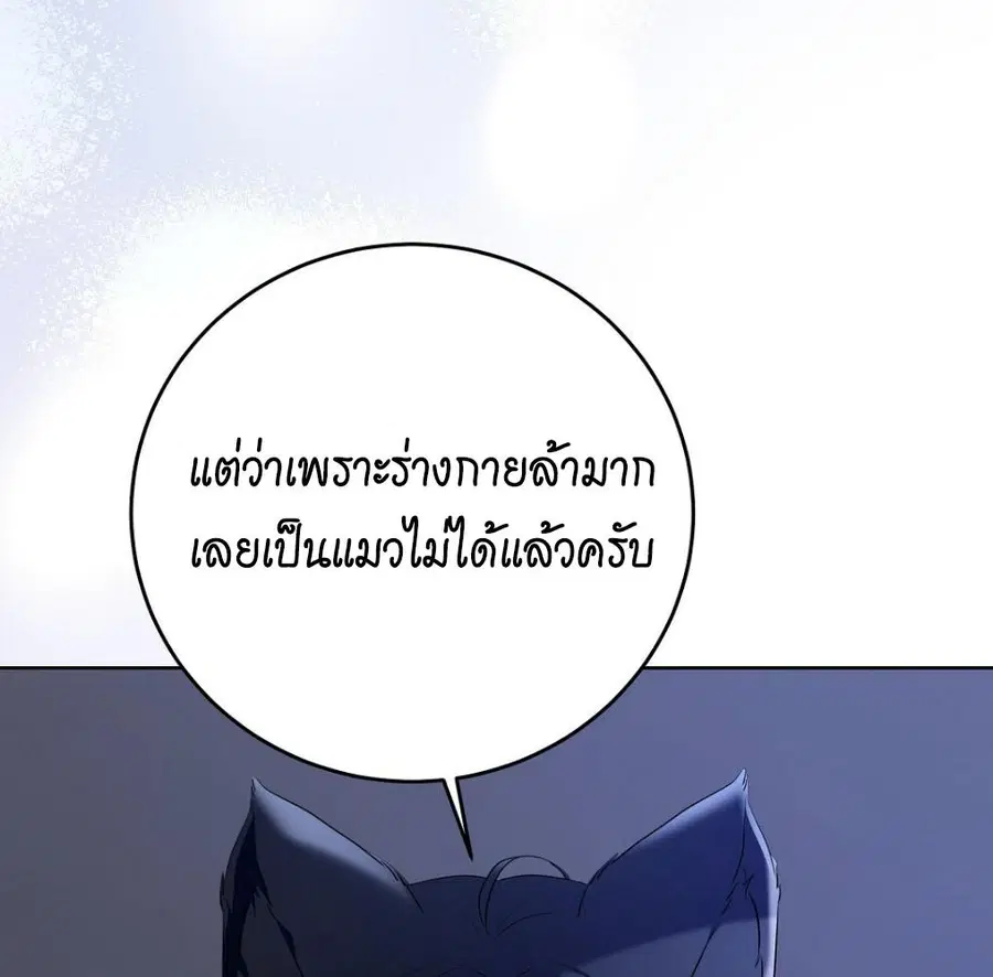 Cat Therapy – ปะปี๊เสพติดเหมียว! ตอนที่ 5 — page 42 of 163