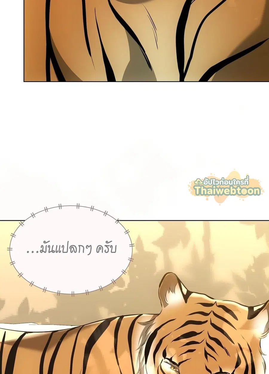 Cat Therapy – ปะปี๊เสพติดเหมียว! ตอนที่ 12 — page 72 of 84