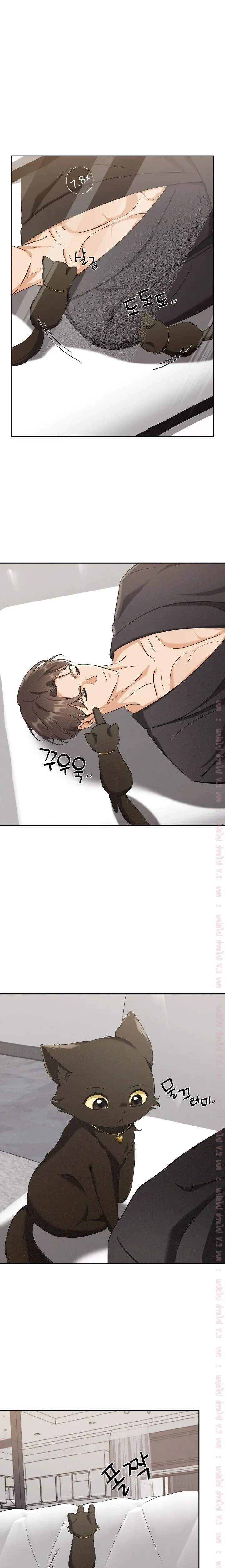 Cat Therapy Love – แมวบำบัดรัก ตอนที่ 3 — page 13 of 22