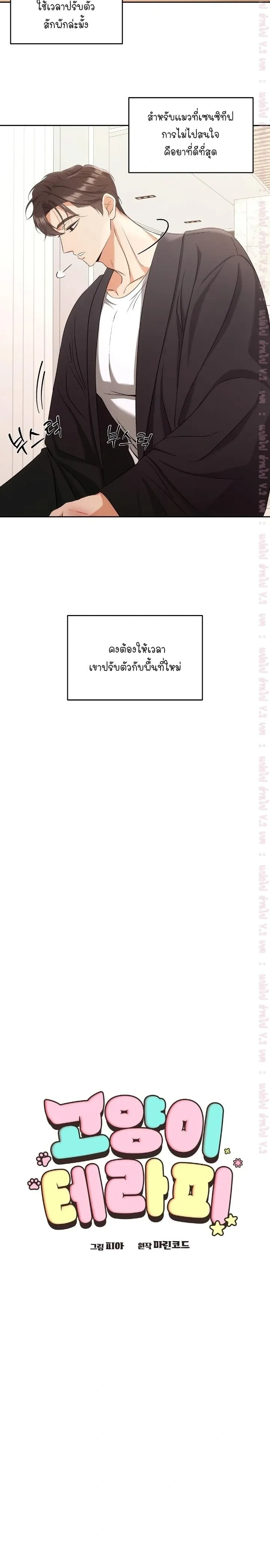Cat Therapy Love – แมวบำบัดรัก ตอนที่ 2 — page 4 of 21