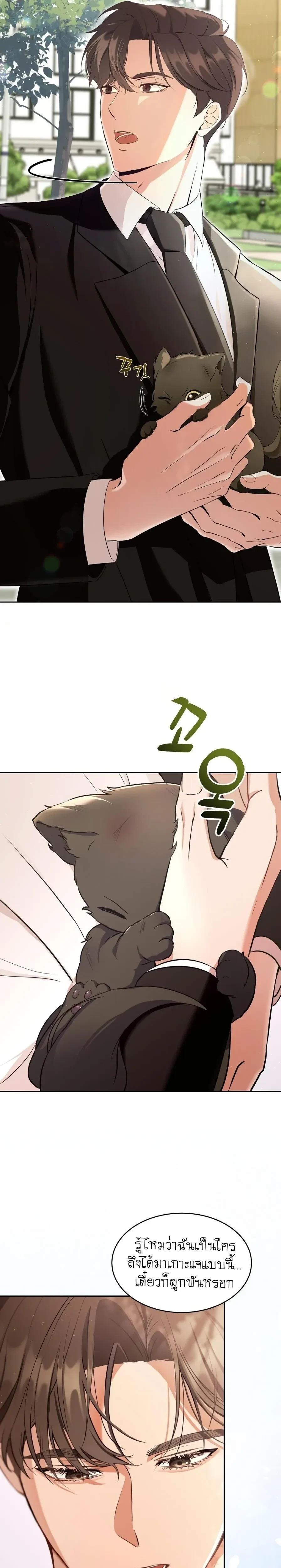 Cat Therapy Love – แมวบำบัดรัก ตอนที่ 1 — page 20 of 28
