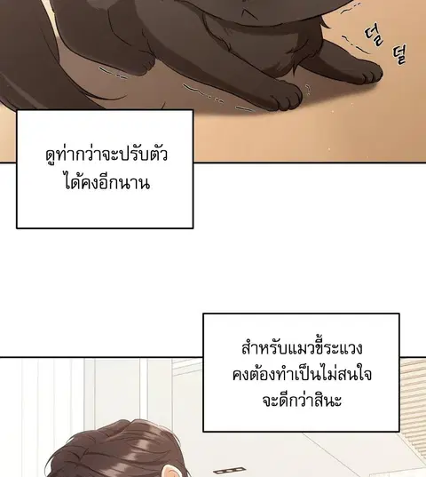 Cat Therapy – ปะปี๊เสพติดเหมียว! ตอนที่ 2 — page 17 of 127