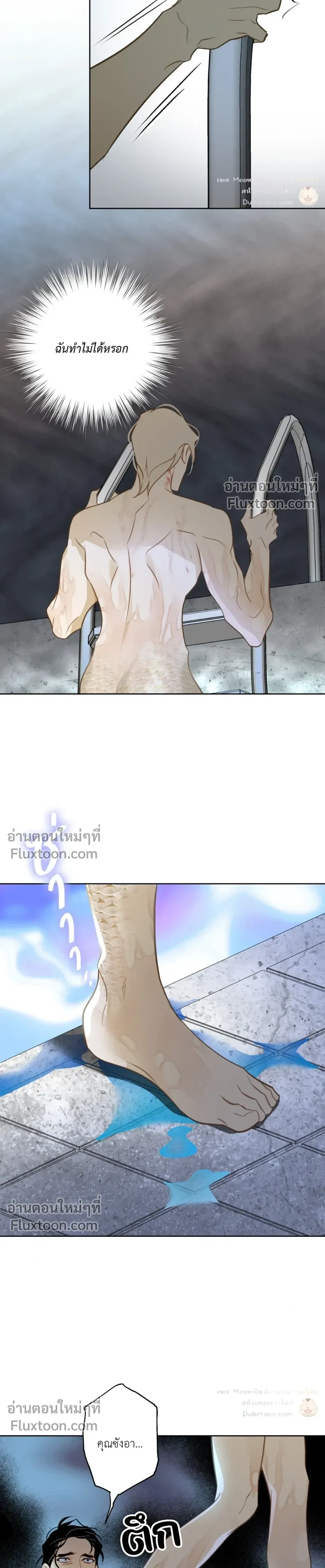 Mermaid – รักแรกของเถ้าแก่ร้านปลาดิบคือนายเงือก ตอนที่ 7 — page 6 of 24