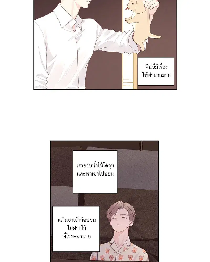 4 Week Lovers ตอนที่ 85 — page 43 of 51