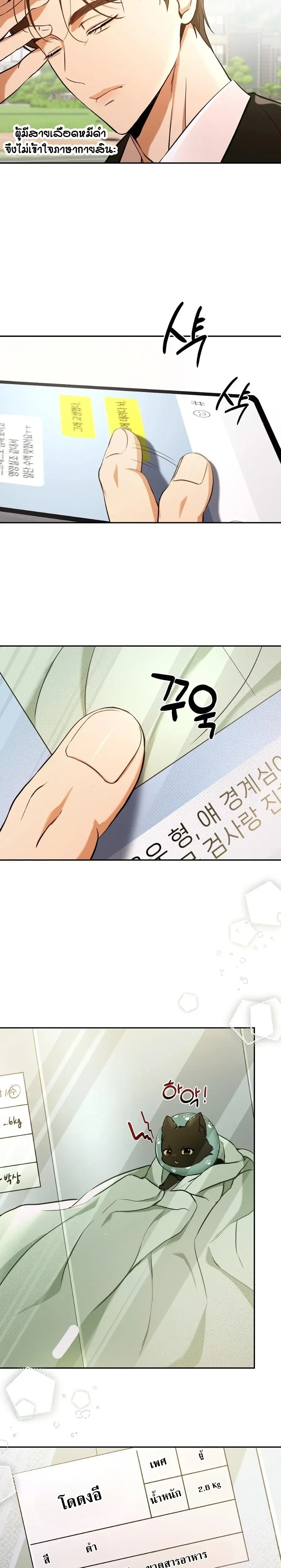 Cat Therapy Love – แมวบำบัดรัก ตอนที่ 1 — page 25 of 28