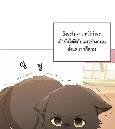 Cat Therapy – ปะปี๊เสพติดเหมียว! ตอนที่ 2 — page 16 of 127