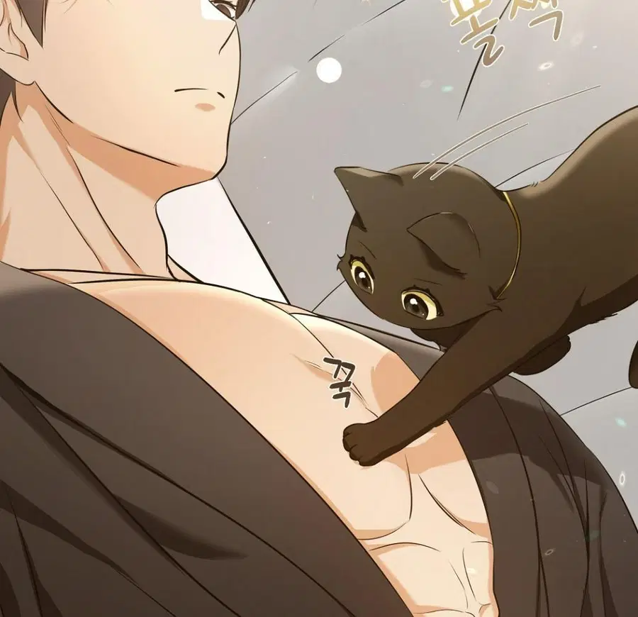 Cat Therapy – ปะปี๊เสพติดเหมียว! ตอนที่ 3 — page 32 of 154