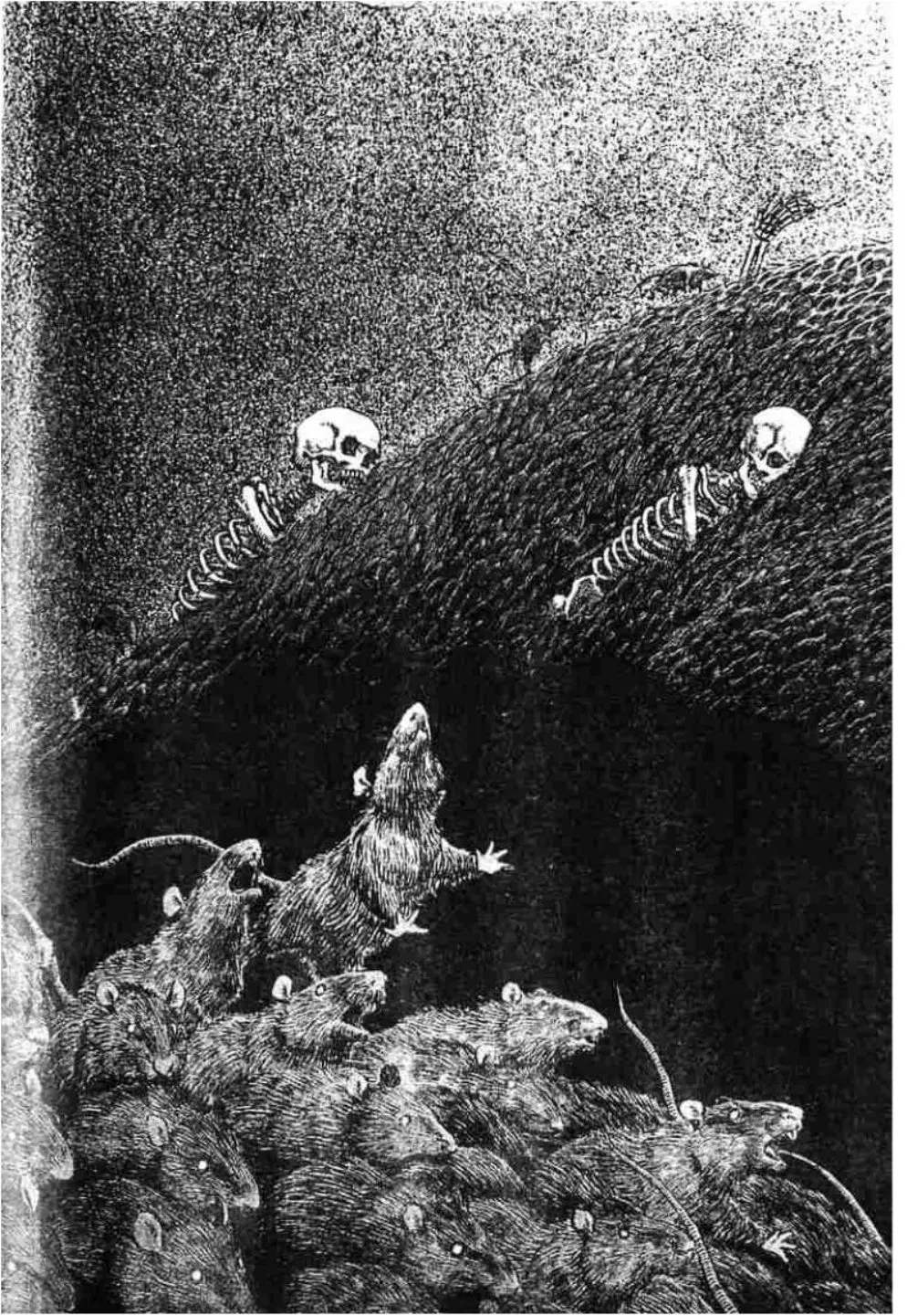 Berserk ตอนที่ 306 — page 30 of 39