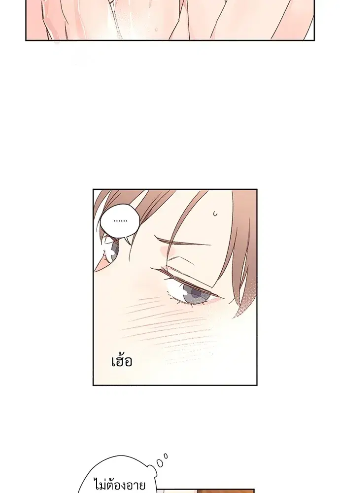 4 Week Lovers ตอนที่ 56 — page 41 of 52