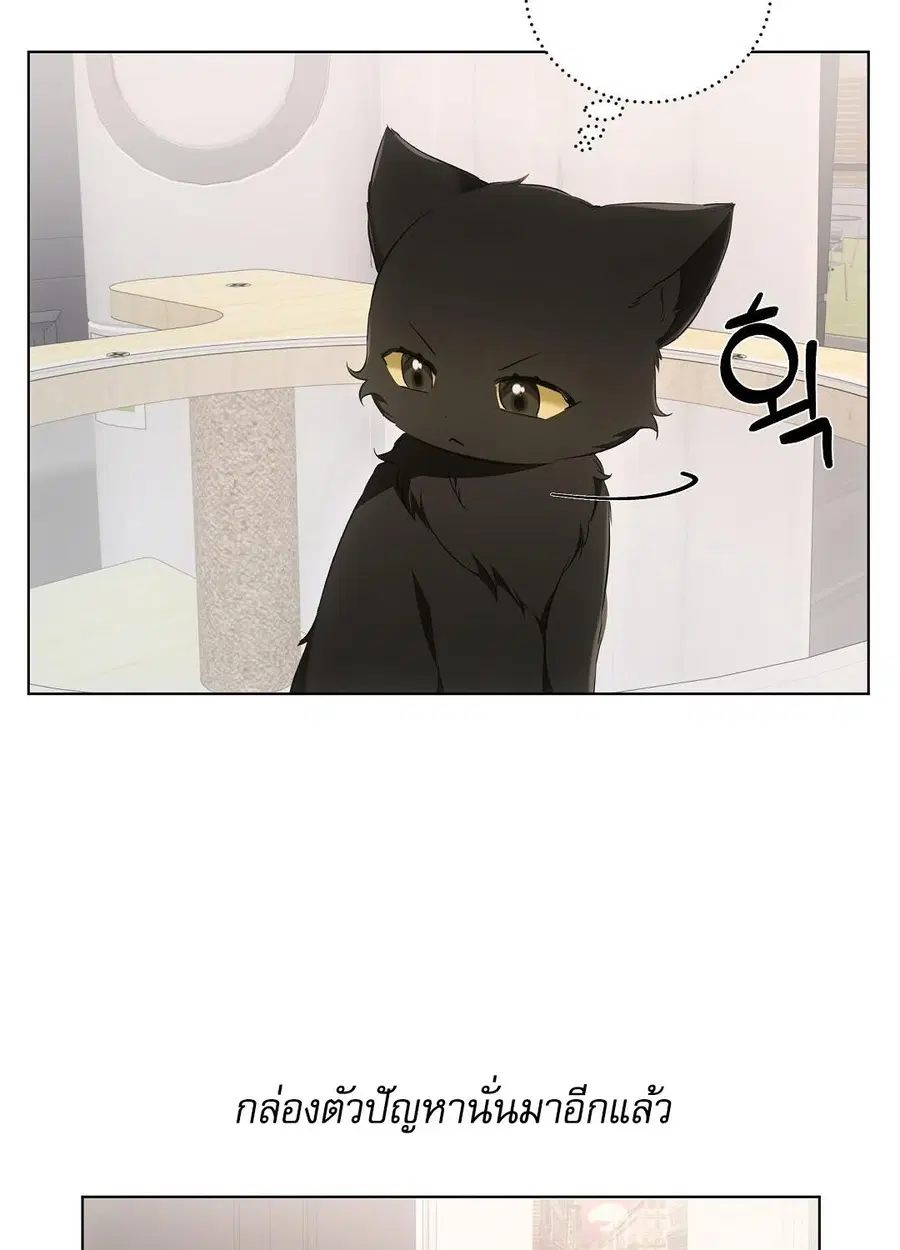 Cat Therapy – ปะปี๊เสพติดเหมียว! ตอนที่ 10 — page 83 of 88