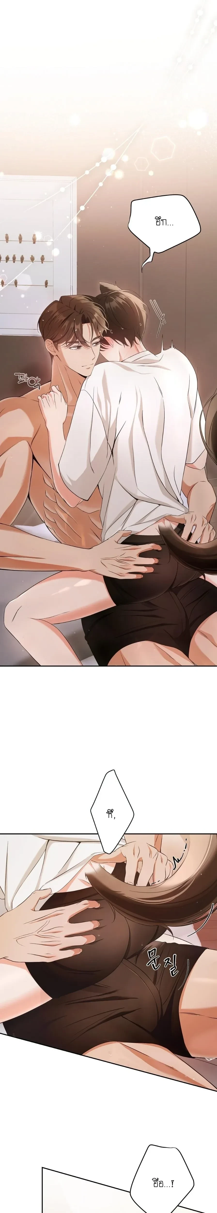 Cat Therapy Love – แมวบำบัดรัก ตอนที่ 1 — page 1 of 28