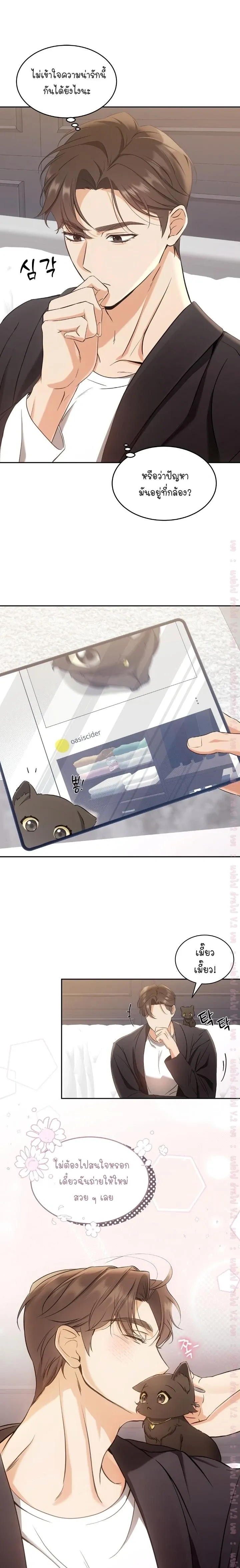 Cat Therapy Love – แมวบำบัดรัก ตอนที่ 2 — page 17 of 21