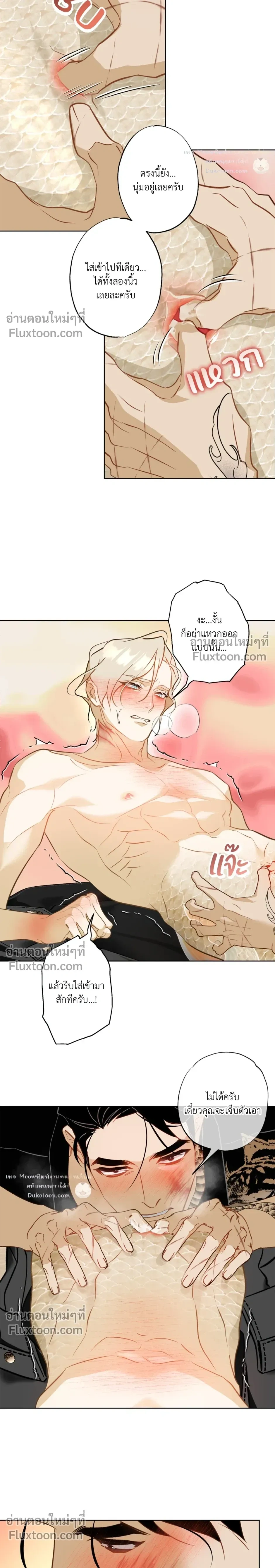 Mermaid – รักแรกของเถ้าแก่ร้านปลาดิบคือนายเงือก ตอนที่ 10 — page 12 of 22