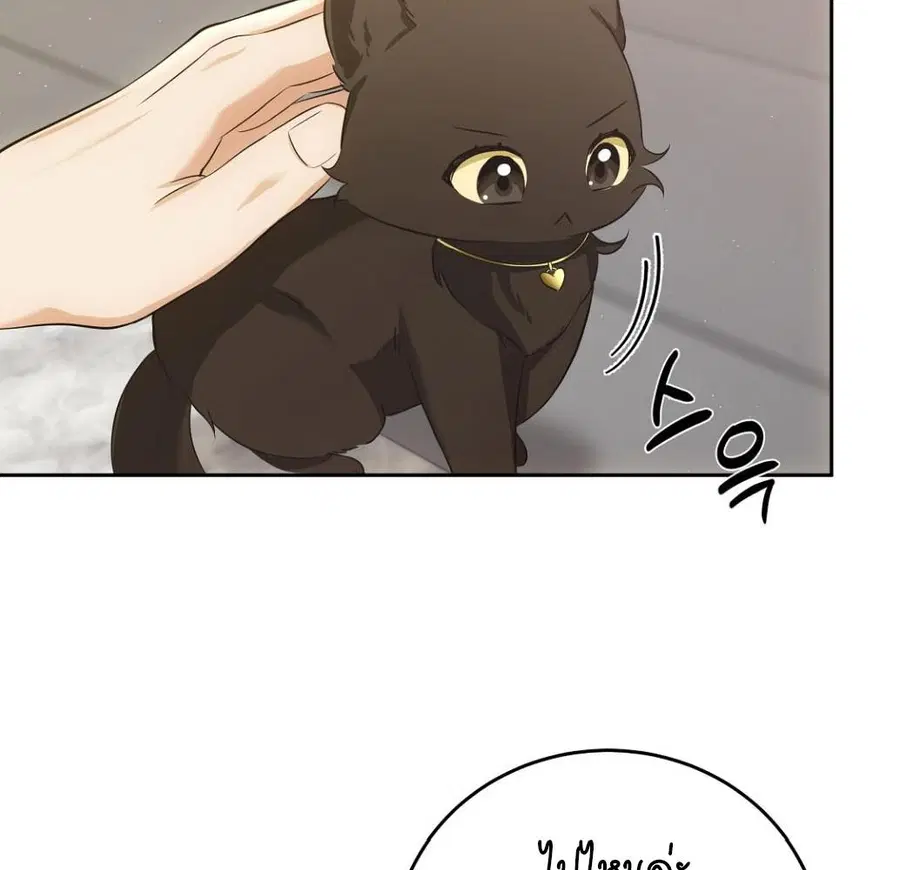 Cat Therapy – ปะปี๊เสพติดเหมียว! ตอนที่ 3 — page 16 of 154