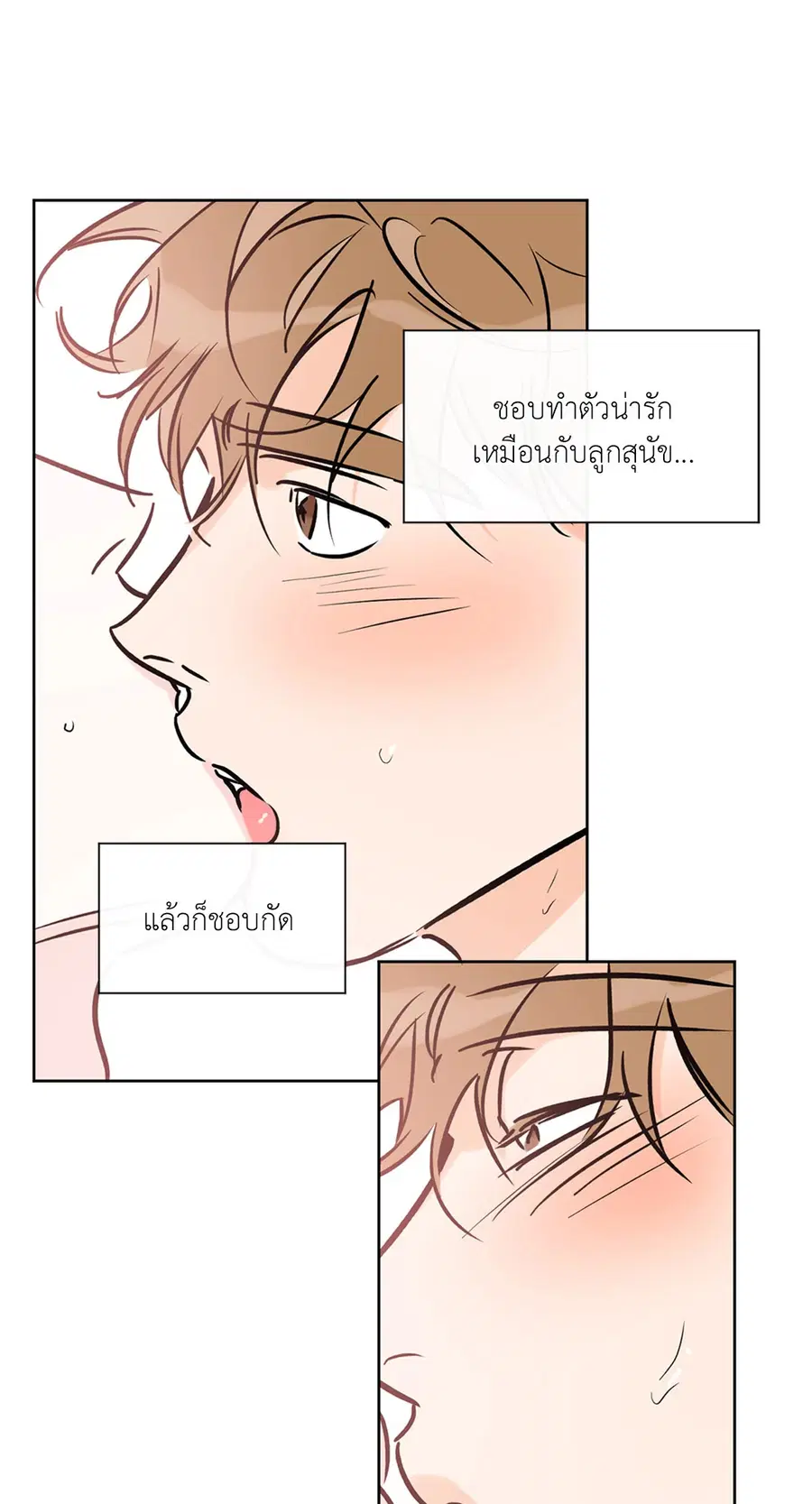 Lucky Paradise ตอนที่ 63 — page 38 of 59