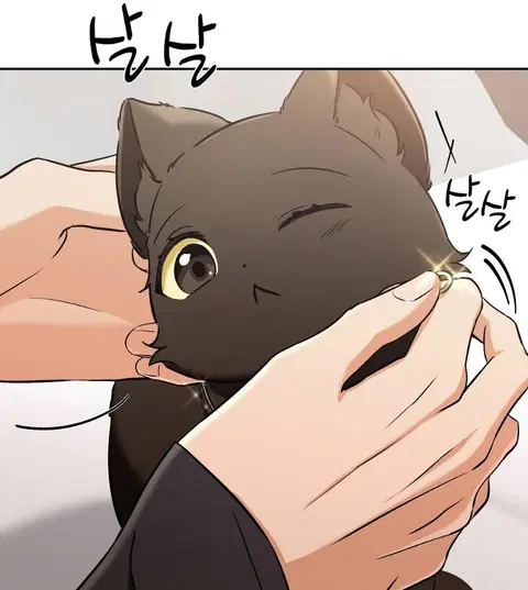 Cat Therapy – ปะปี๊เสพติดเหมียว! ตอนที่ 2 — page 78 of 127