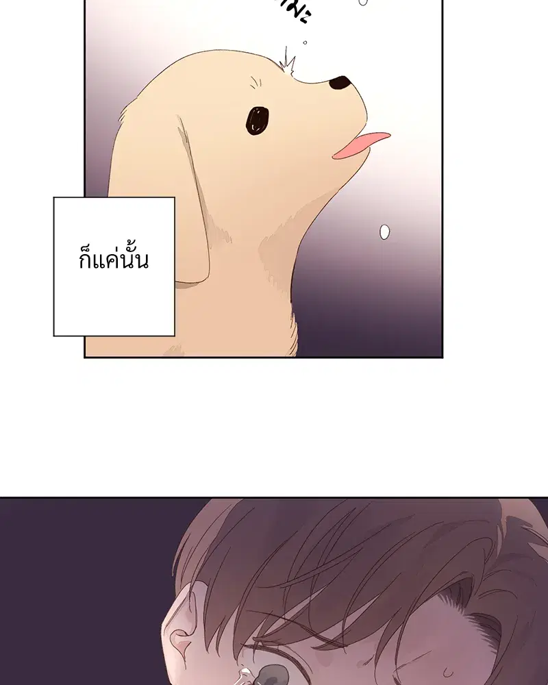 4 Week Lovers ตอนที่ 84 — page 37 of 53
