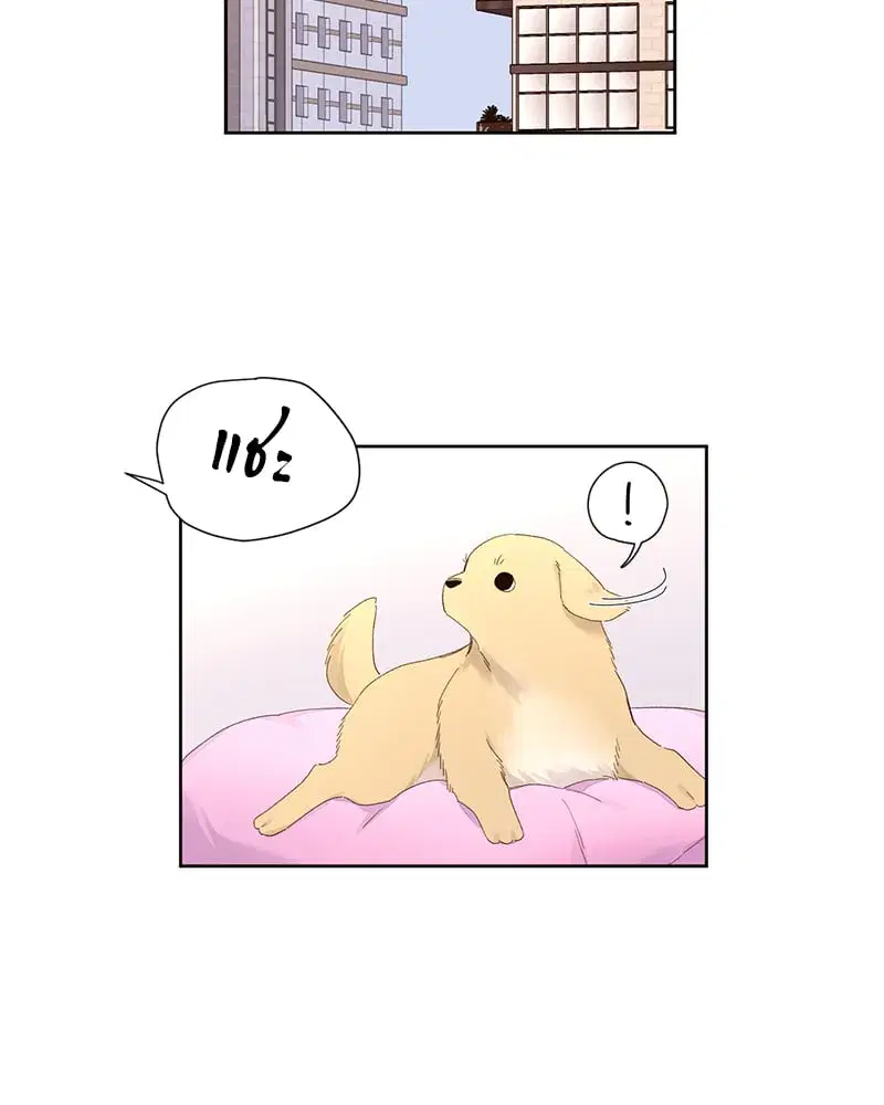 4 Week Lovers ตอนที่ 103 — page 41 of 59
