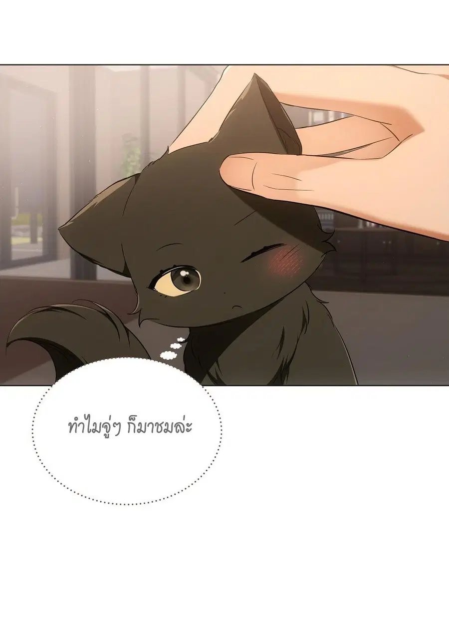 Cat Therapy – ปะปี๊เสพติดเหมียว! ตอนที่ 10 — page 47 of 88
