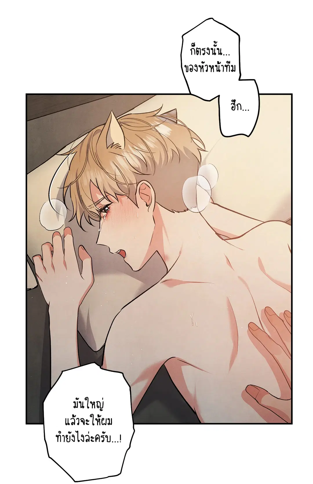 Roses and Champagne ตอนที่ 59 — page 34 of 64