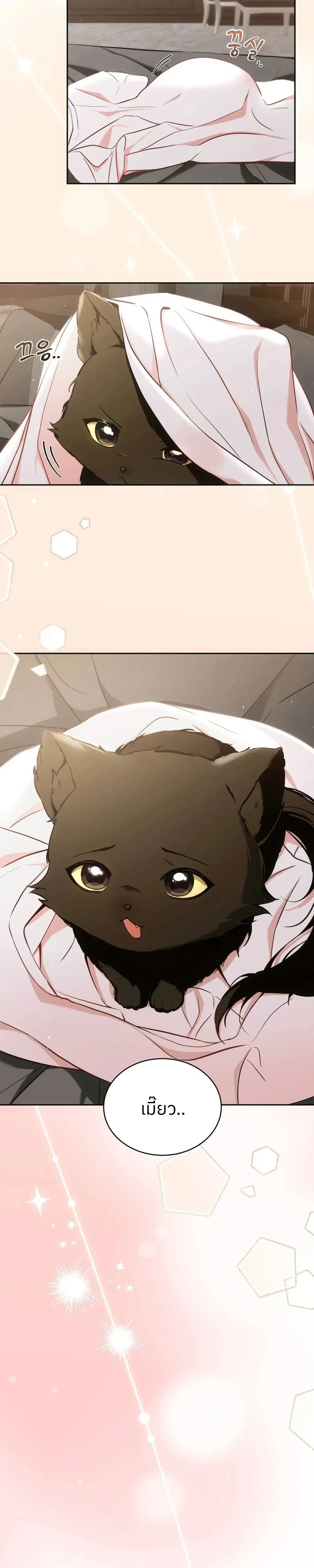 Cat Therapy – ปะปี๊เสพติดเหมียว! ตอนที่ 1 — page 7 of 29