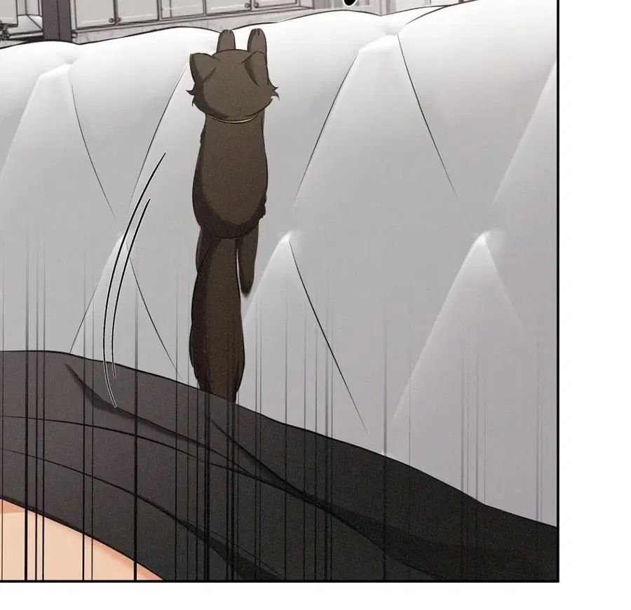 Cat Therapy – ปะปี๊เสพติดเหมียว! ตอนที่ 3 — page 92 of 154