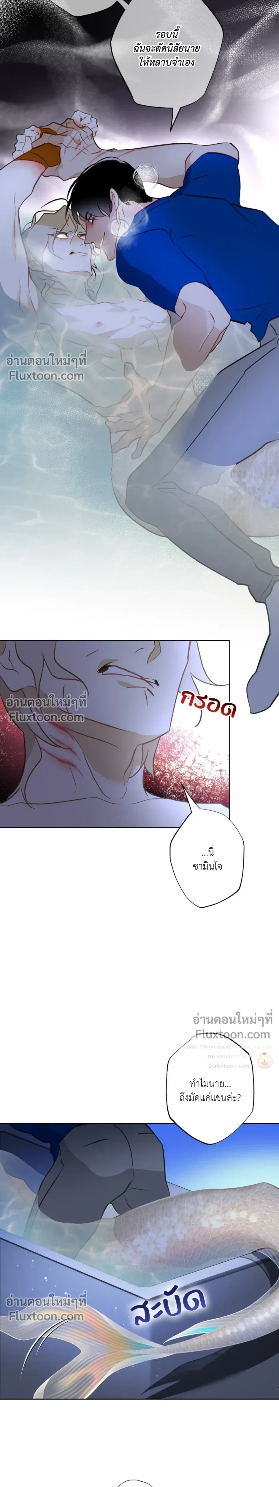 Mermaid – รักแรกของเถ้าแก่ร้านปลาดิบคือนายเงือก ตอนที่ 8 — page 22 of 24