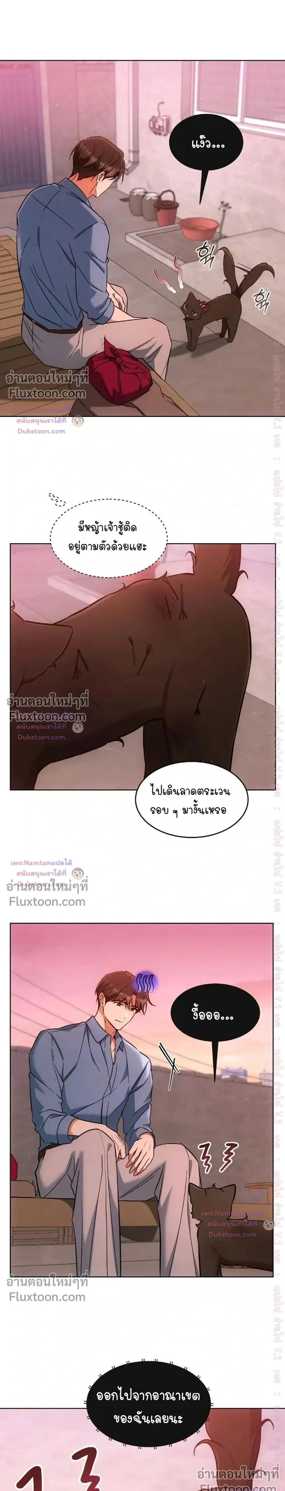 Cat Therapy – ปะปี๊เสพติดเหมียว! ตอนที่ 32 — page 22 of 23