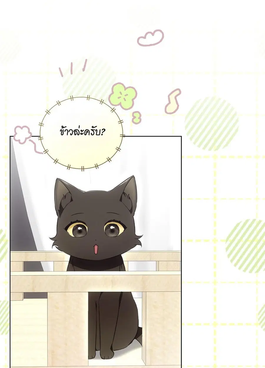 Cat Therapy – ปะปี๊เสพติดเหมียว! ตอนที่ 8 — page 27 of 90
