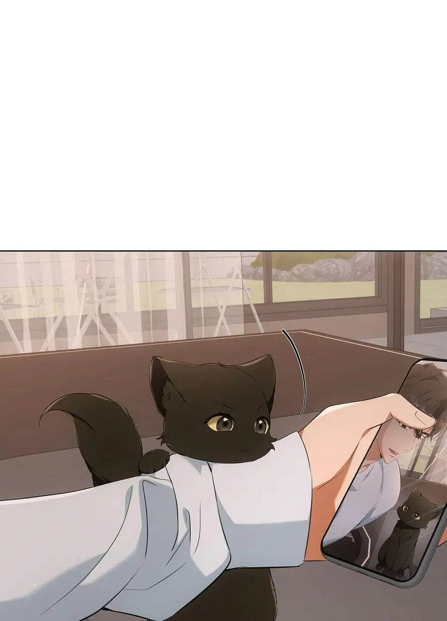 Cat Therapy – ปะปี๊เสพติดเหมียว! ตอนที่ 10 — page 42 of 88