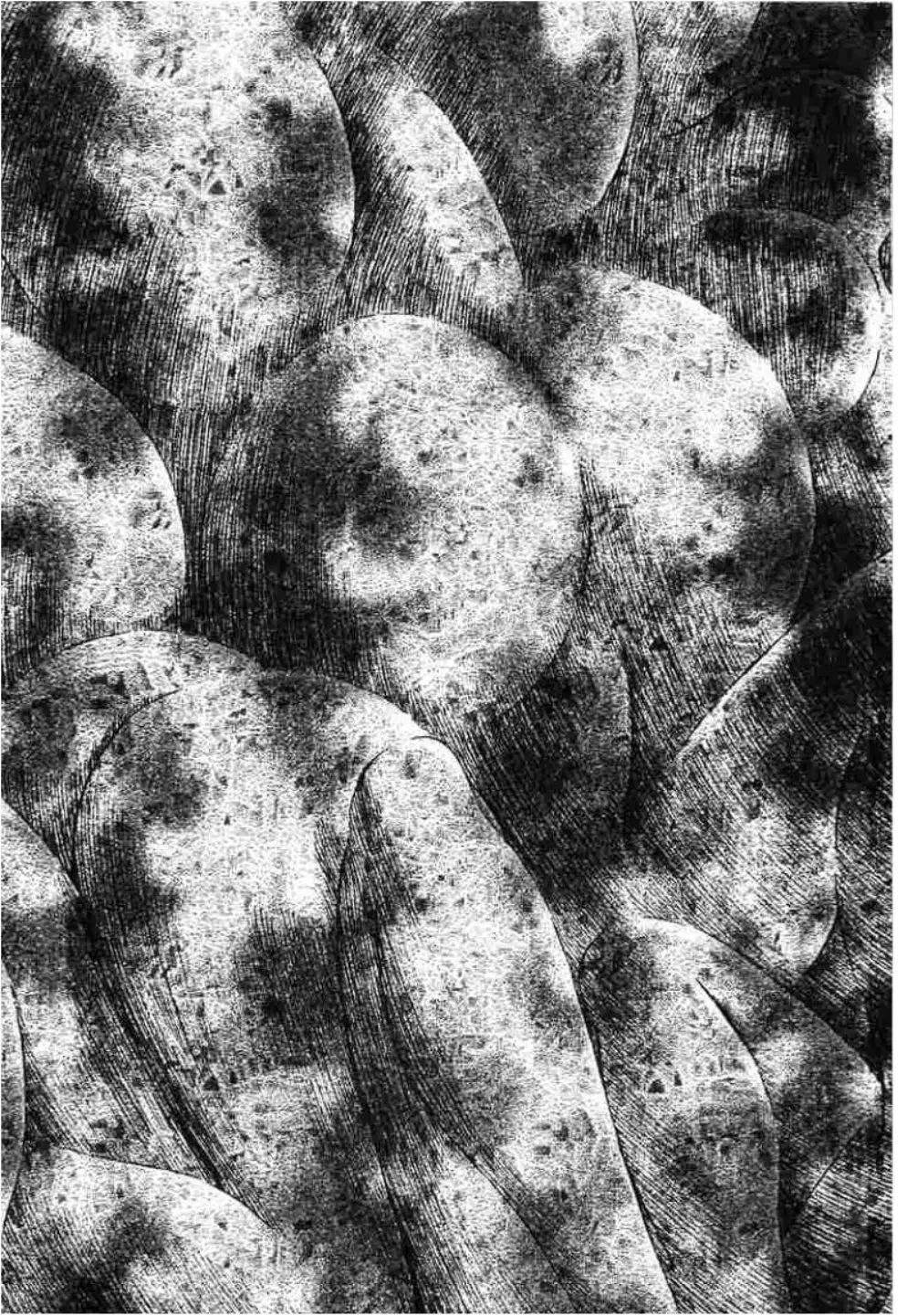 Berserk ตอนที่ 306 — page 28 of 39