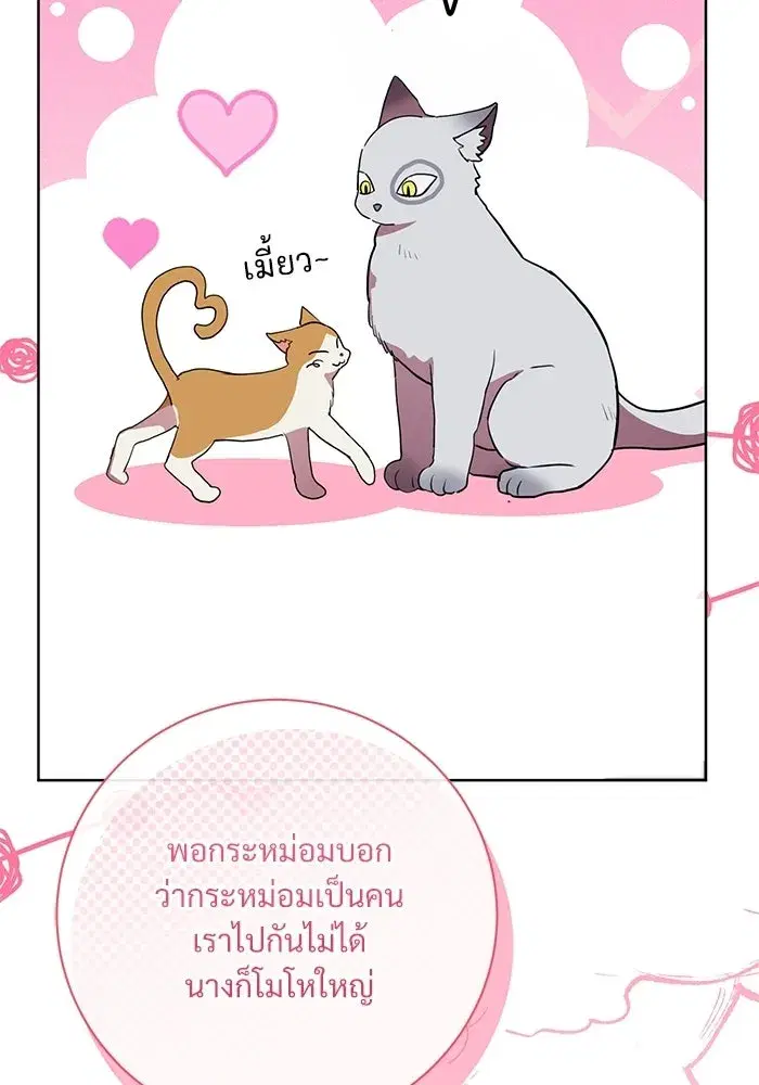 To My Husband’s Mistress ตอนที่ 118 — page 38 of 116