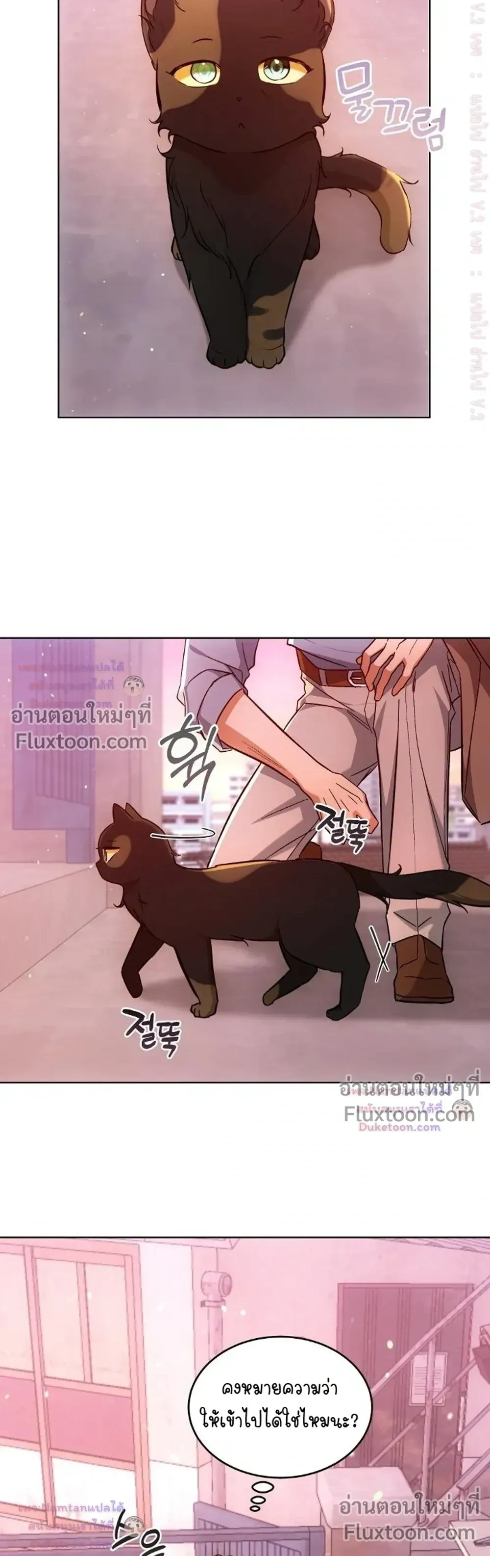 Cat Therapy – ปะปี๊เสพติดเหมียว! ตอนที่ 31 — page 17 of 22