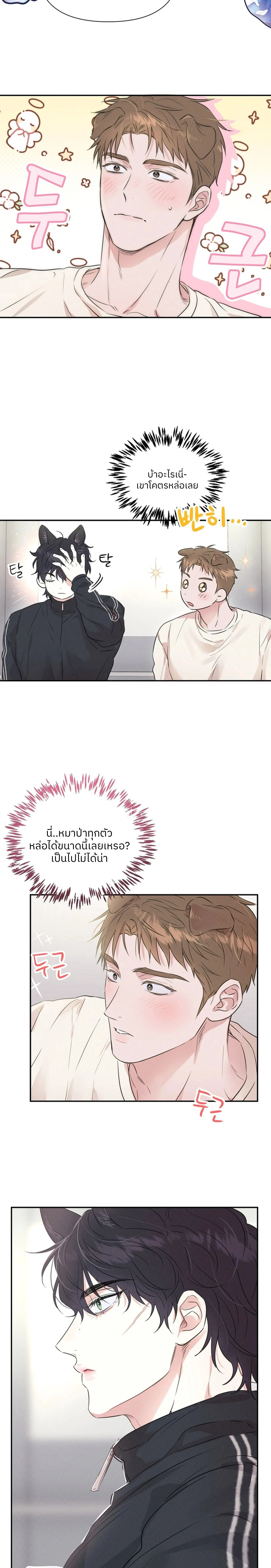 Turning Over A New Paw – พลิกขั้วหัวใจนายหมาป่า ตอนที่ 1 — page 16 of 17