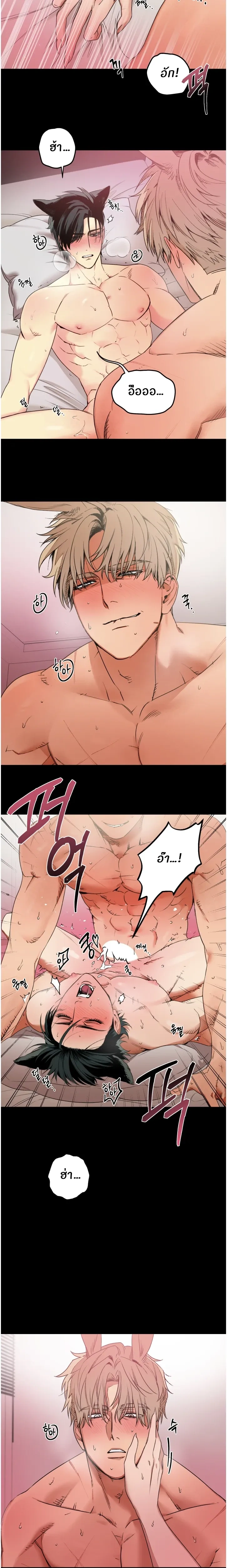 The Mean Fox and the Cunning Rabbit – จิ้งจอกตัวร้ายกับนายกระต่ายจอมเจ้าเล่ห์ ตอนที่ 1 — page 18 of 23
