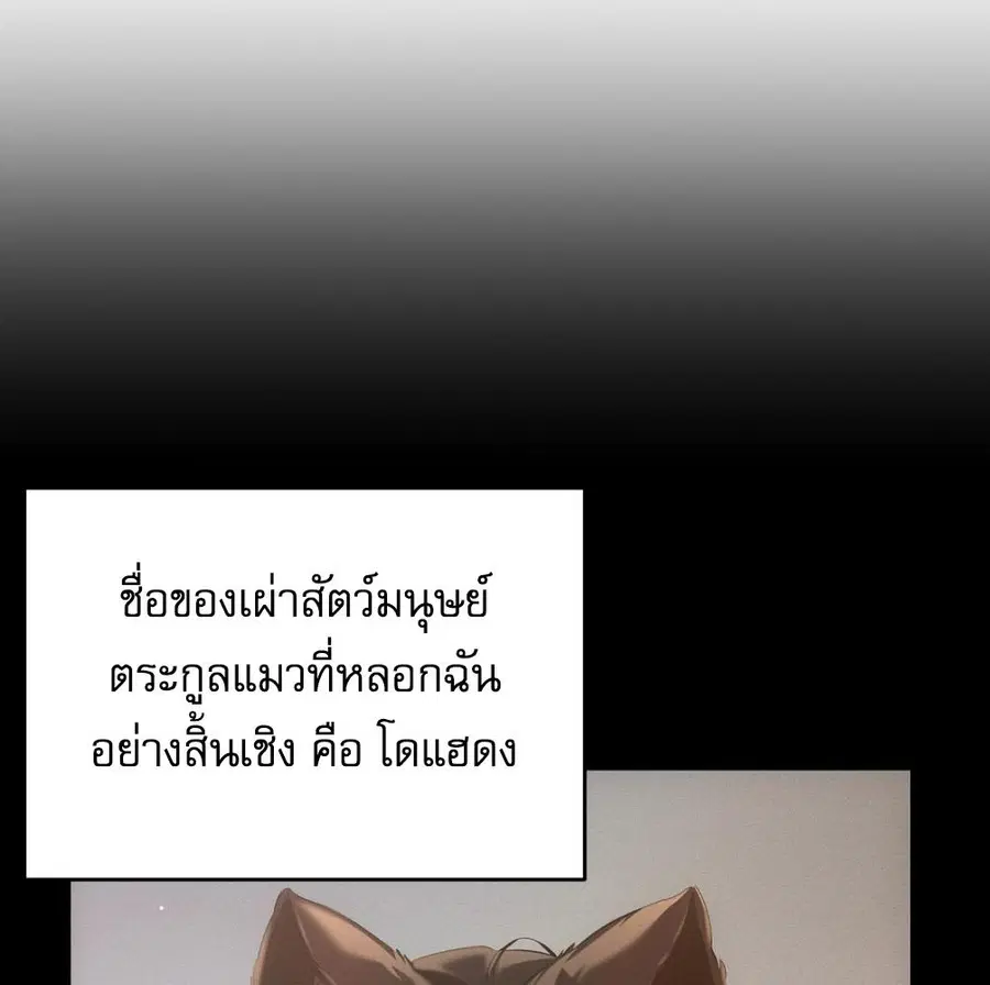 Cat Therapy – ปะปี๊เสพติดเหมียว! ตอนที่ 4 — page 77 of 142
