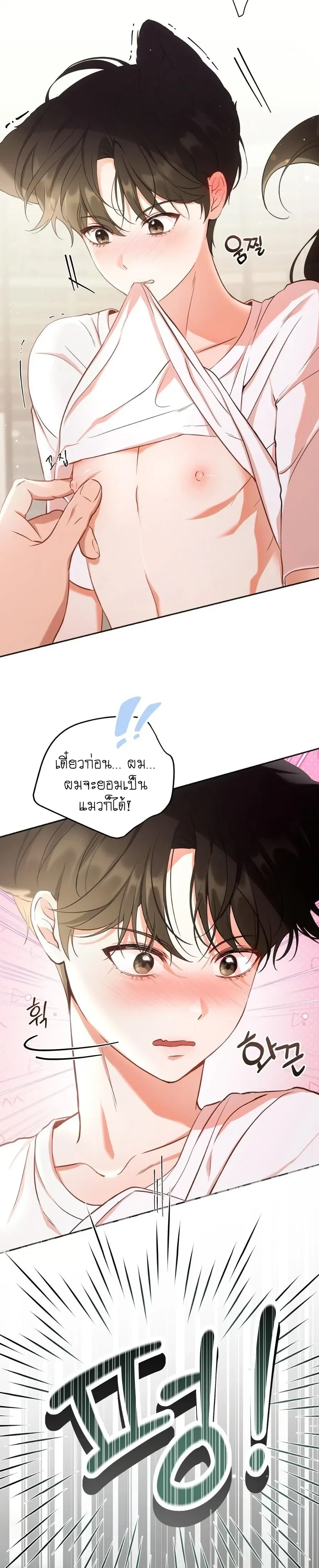 Cat Therapy Love – แมวบำบัดรัก ตอนที่ 1 — page 5 of 28