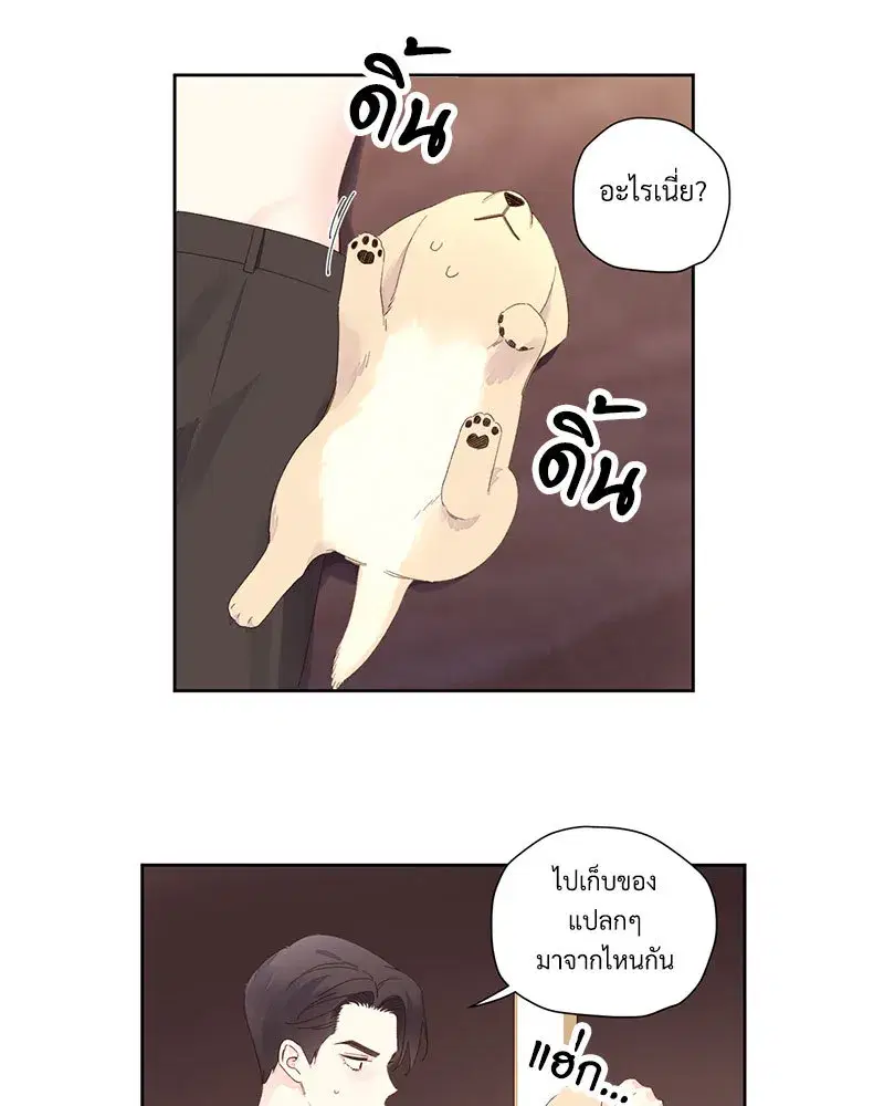 4 Week Lovers ตอนที่ 85 — page 42 of 51