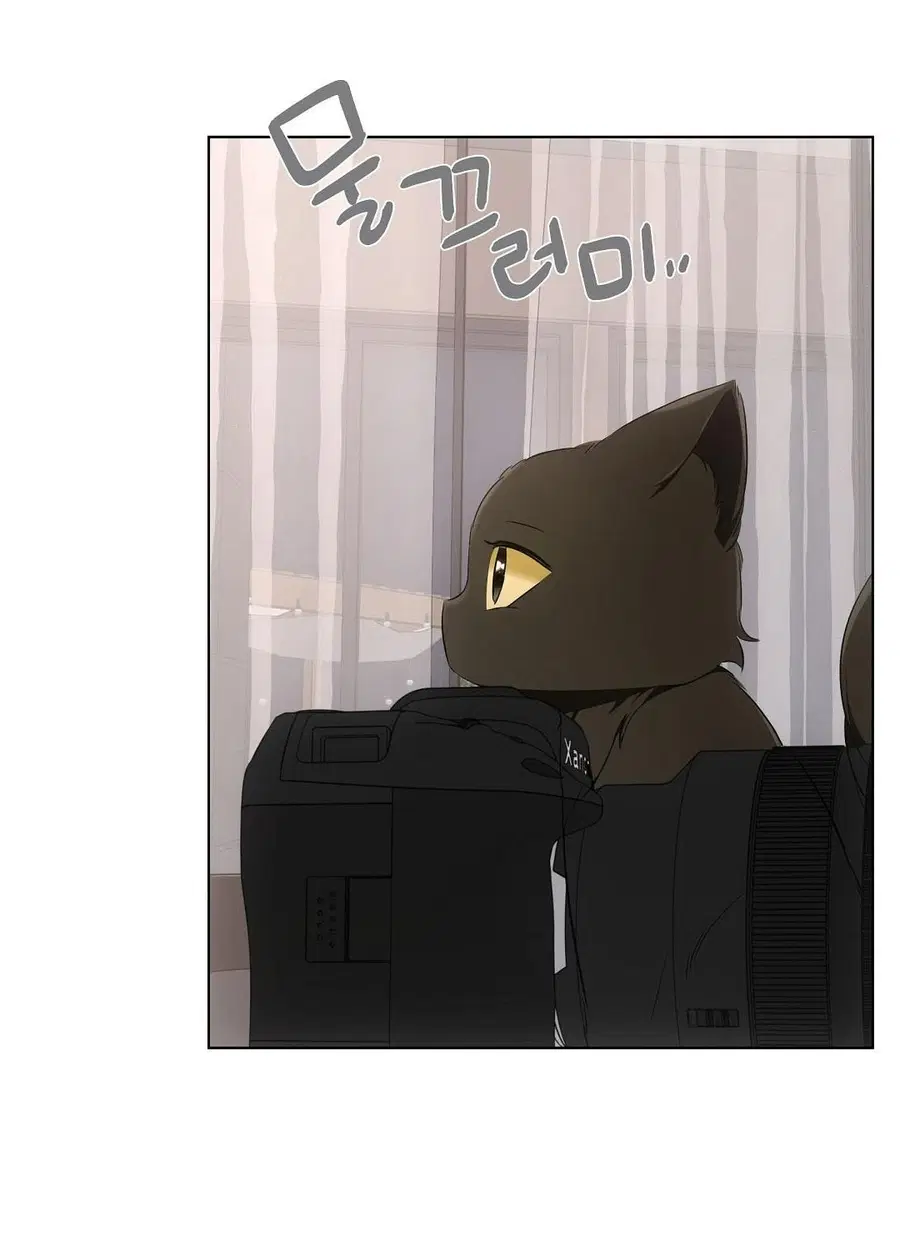Cat Therapy – ปะปี๊เสพติดเหมียว! ตอนที่ 10 — page 63 of 88