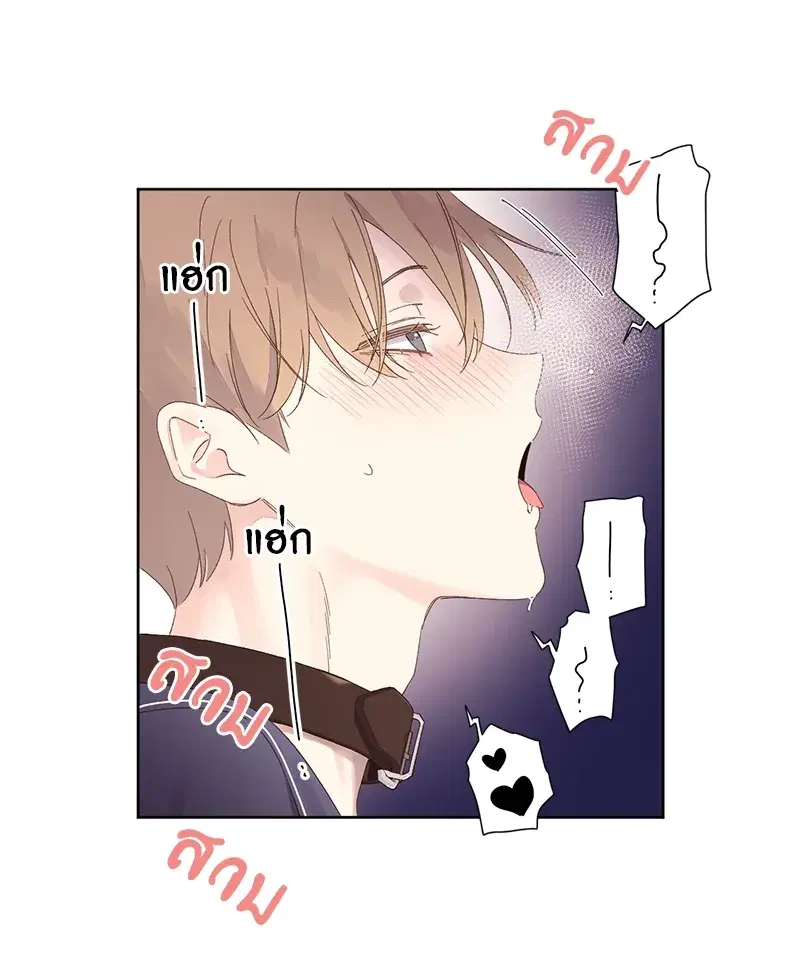 4 Week Lovers ตอนที่ 72 — page 32 of 58