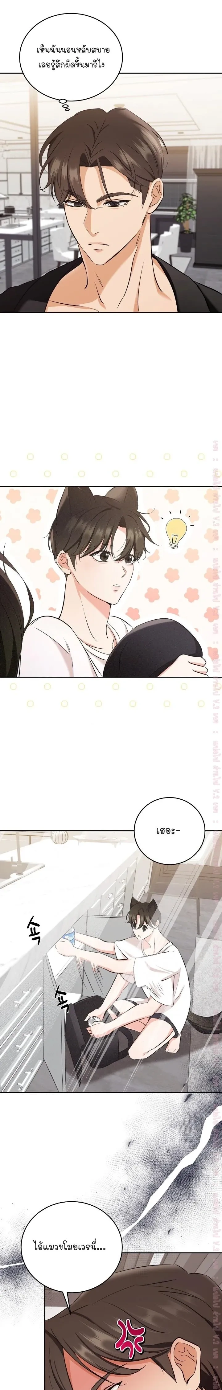 Cat Therapy Love – แมวบำบัดรัก ตอนที่ 3 — page 17 of 22