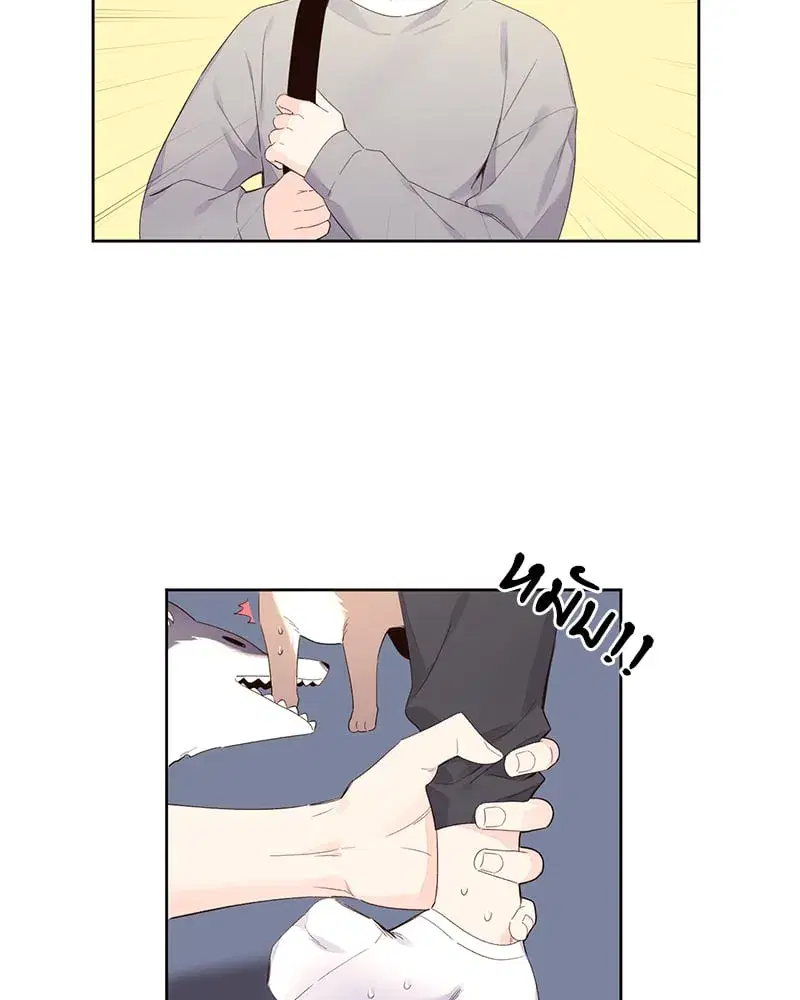 4 Week Lovers ตอนที่ 99 — page 18 of 54