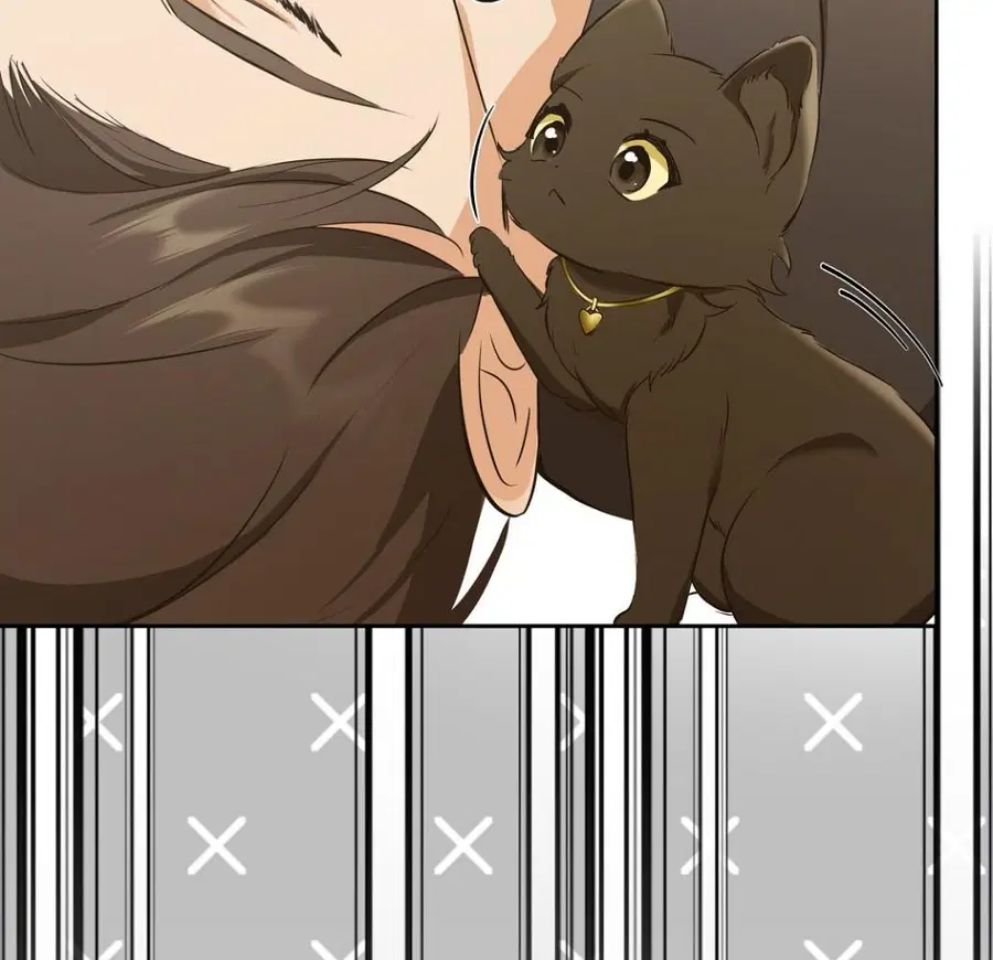 Cat Therapy – ปะปี๊เสพติดเหมียว! ตอนที่ 3 — page 54 of 154