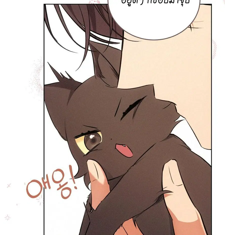 Cat Therapy – ปะปี๊เสพติดเหมียว! ตอนที่ 6 — page 65 of 140