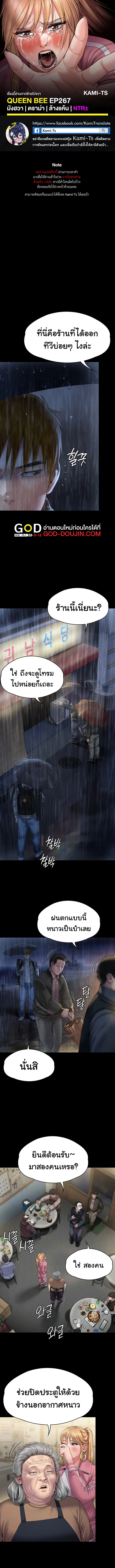 Queen Bee ตอนที่ 267 — page 1 of 8