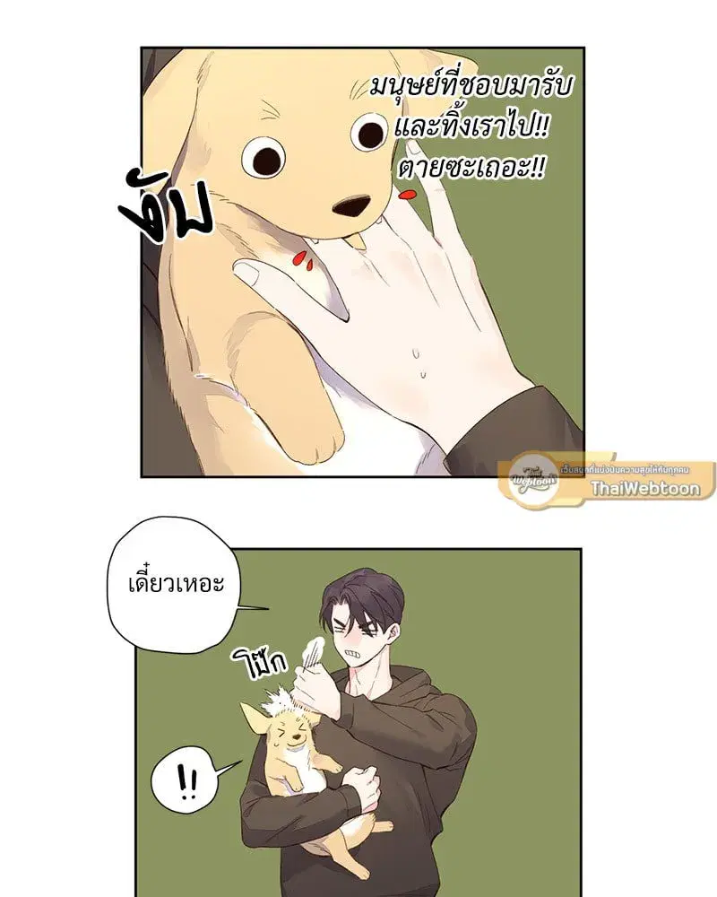 4 Week Lovers ตอนที่ 98 — page 5 of 58