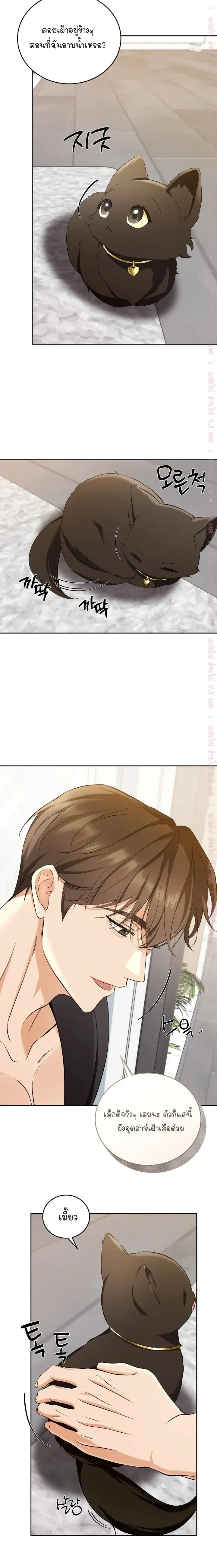 Cat Therapy Love – แมวบำบัดรัก ตอนที่ 3 — page 2 of 22